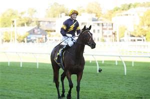 Stradbroke Handicap Field – 2021 .